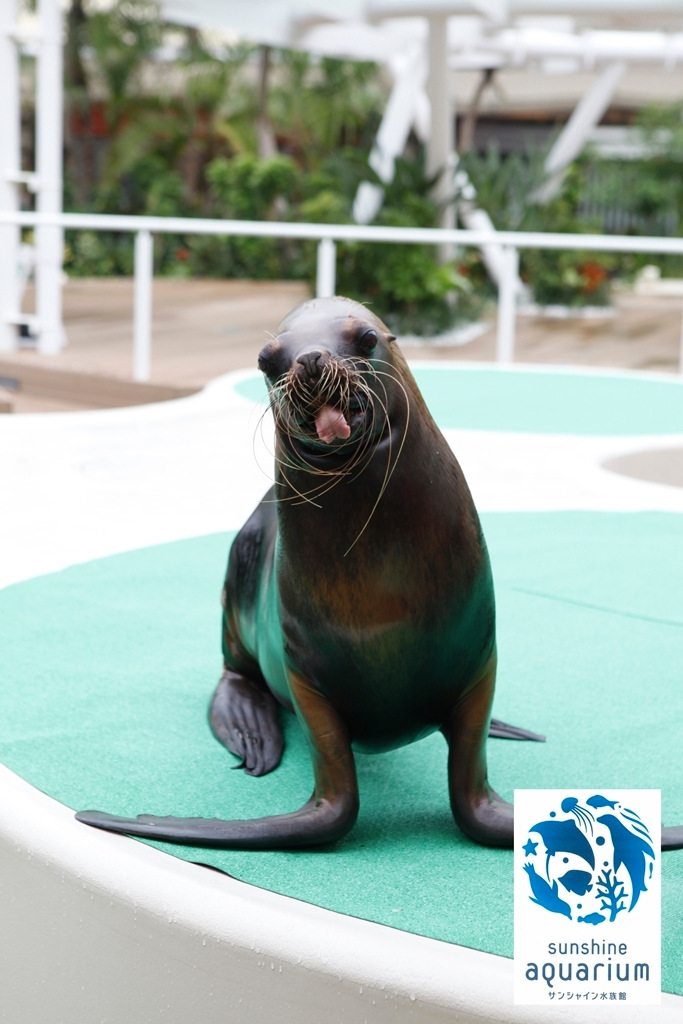 動物を探す 動物園と水族館