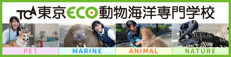 学校法人滋慶学園東京コミュニケーションアート専門学校
