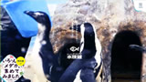 新さっぽろサンピアザ水族館