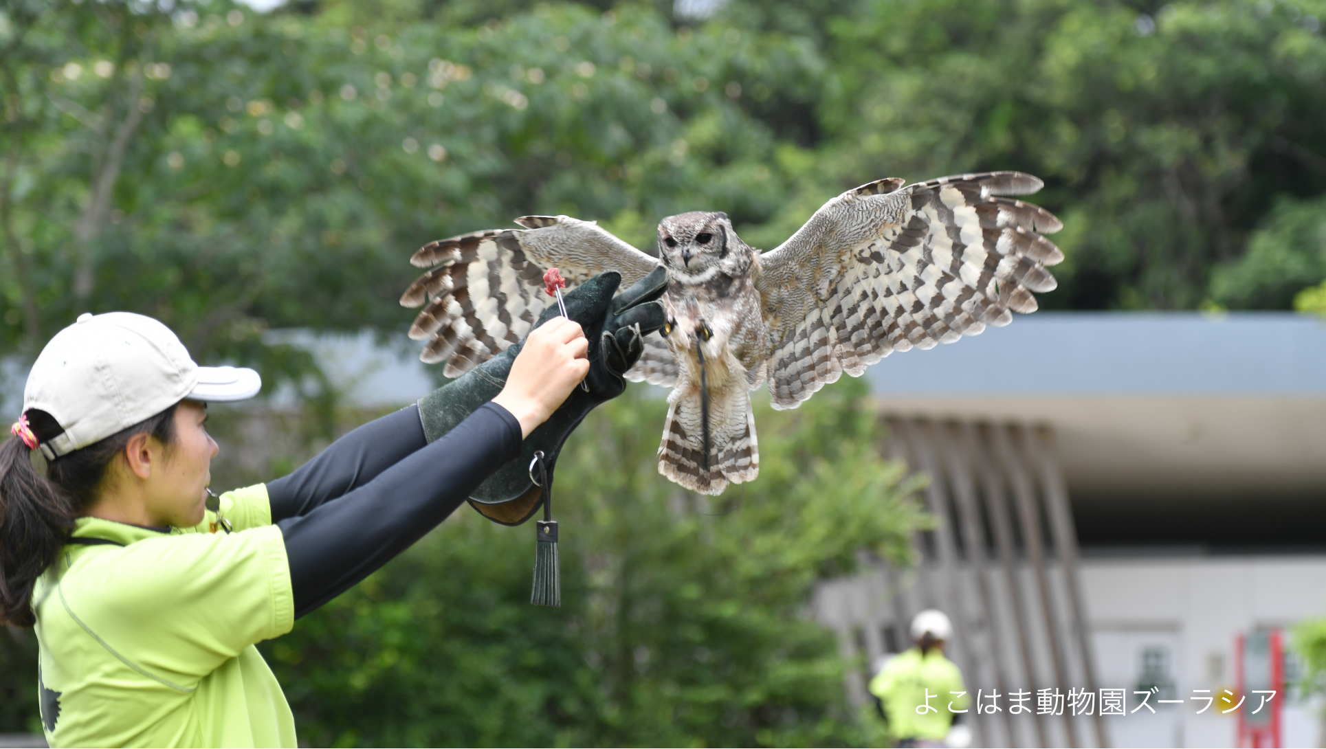 活動写真1