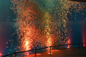 名古屋港水族館　ハロウィンアクアリウムイベントを開催します