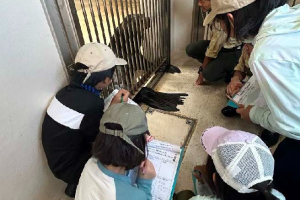 天王寺動物園　第４回TenZoo小学生チャレンジを開催します