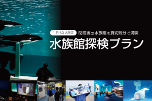 鴨川シーワールド　1日限定60名『水族館探検プラン』開催