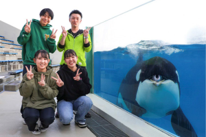 鴨川シーワールド　1日7組限定「シャチと記念写真」開催決定