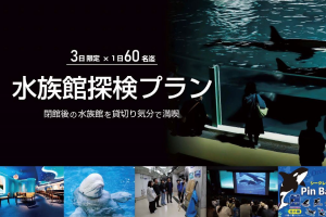 鴨川シーワールド　1日60名限定「水族館探検プラン」開催