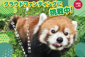 札幌市円山動物園　クラウドファンディングのご案内