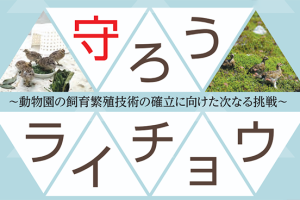 【JAZA後援事業】ライチョウ基金シンポジウム2026の開催について